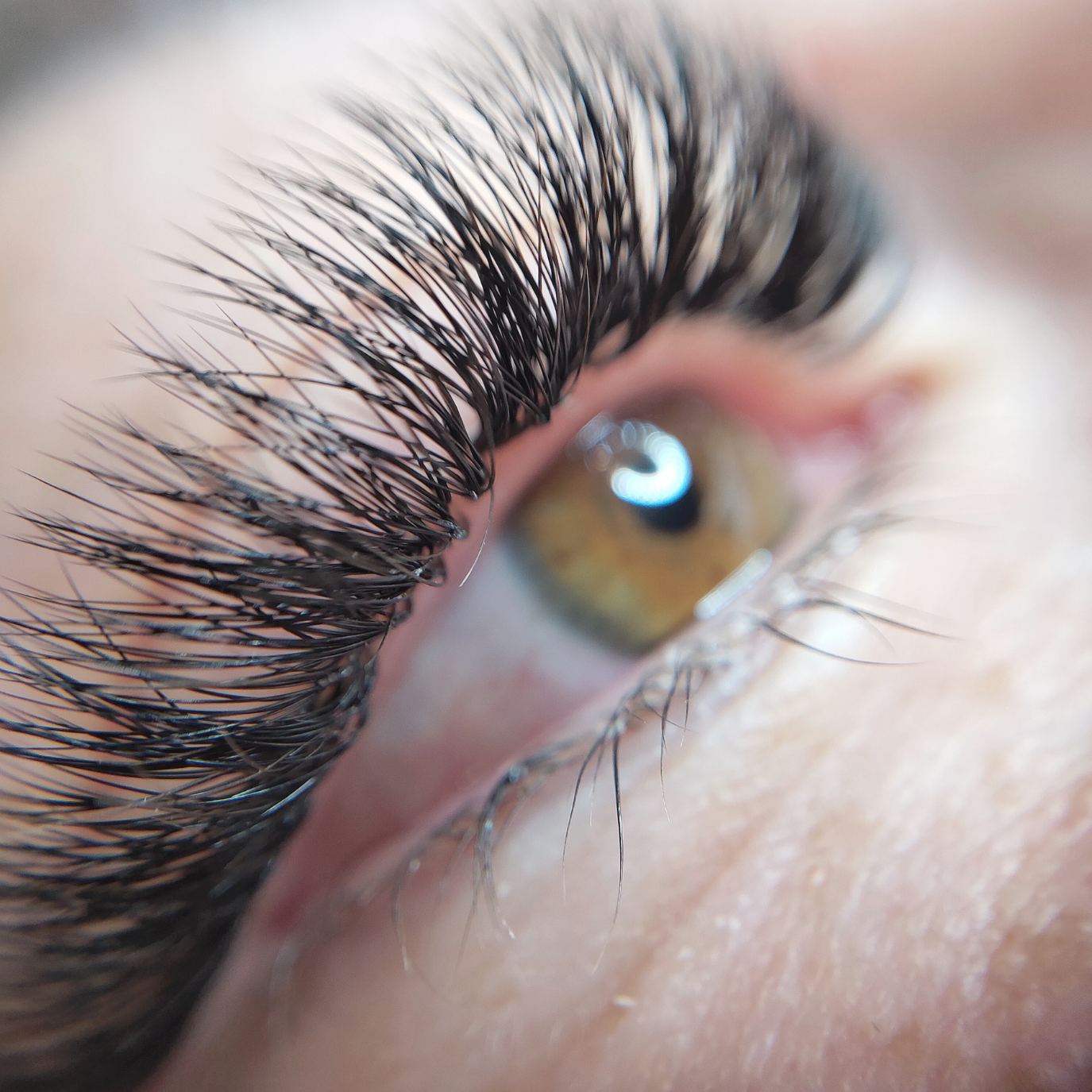 1 Day Eyelash Extension Course