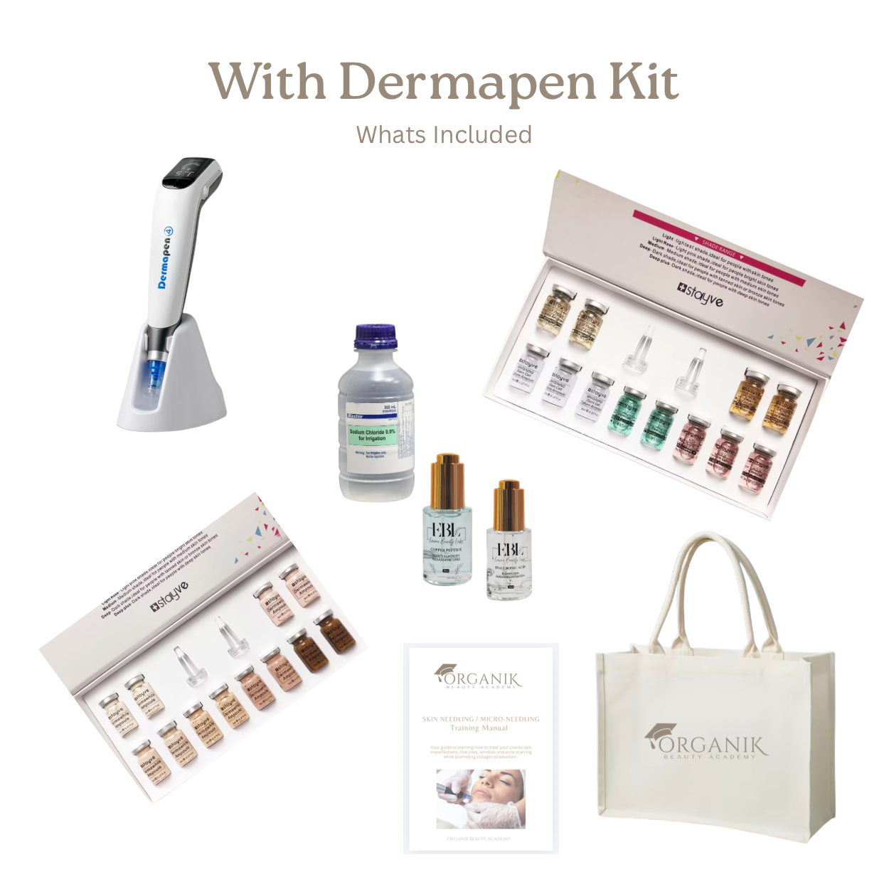 Skin Needling Masterclass with Salmon DNA & BB Glow Course